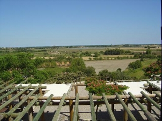  Sube a las alturas.JPG 